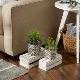 Set of 2 Dark Gray Lattice Cement Flower Pots - Stylish Home Decor for Indoor and Outdoor Use