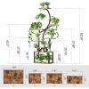 Indoor Plant Stand with Black Metal Frame and Wood Finish Shelves